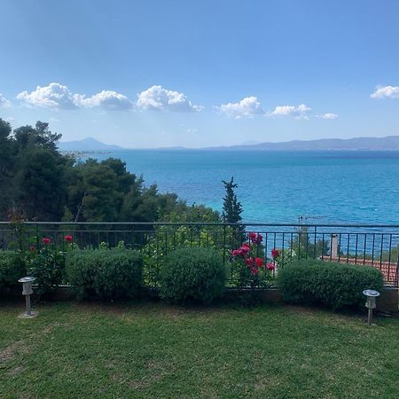 Апартаменти Amfiteatrico Sea View - Kalamos Attiki Markopoulon Oropou Екстер'єр фото